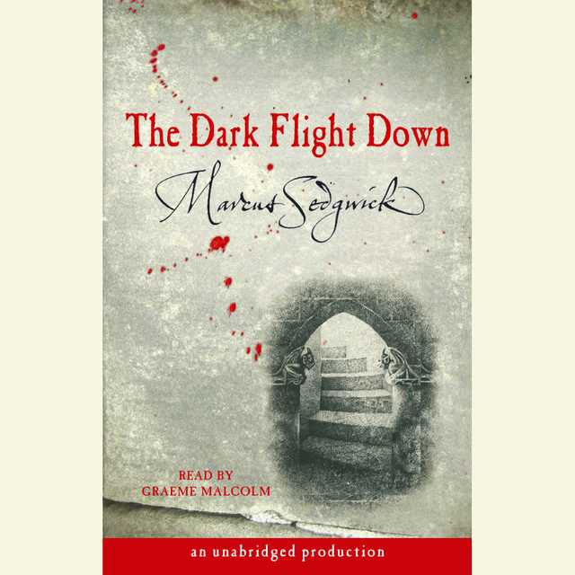 The Dark Flight Down