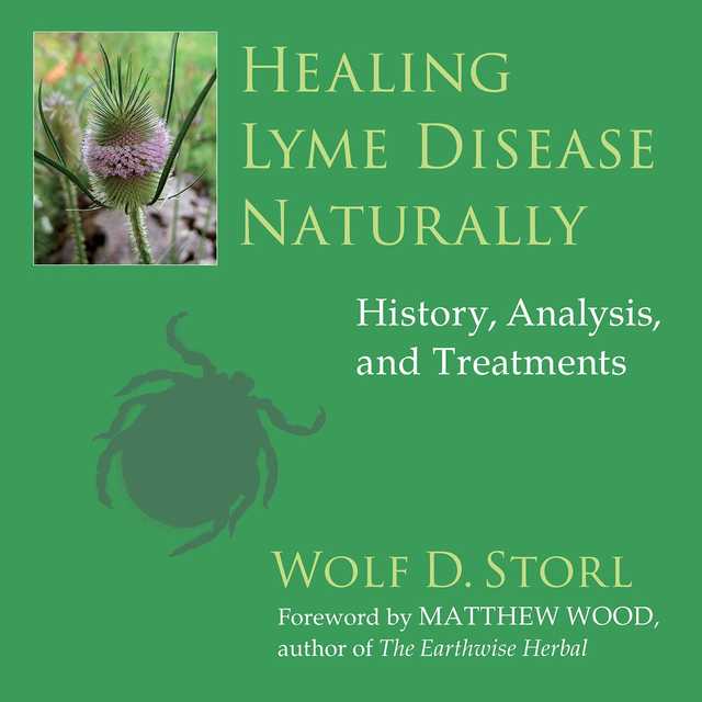 Healing Lyme Disease Naturally