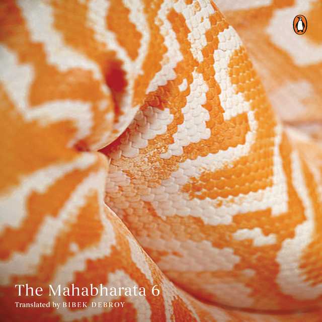 Mahabharata Vol 6