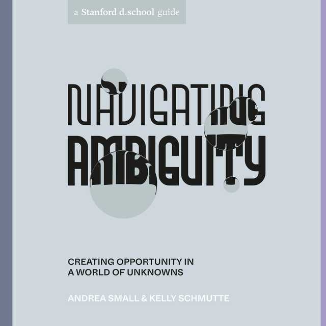 Navigating Ambiguity