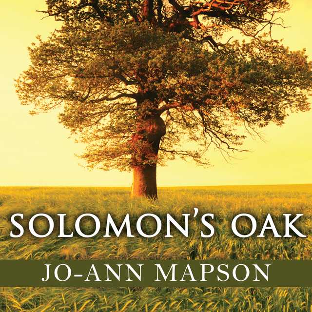 Solomon’s Oak