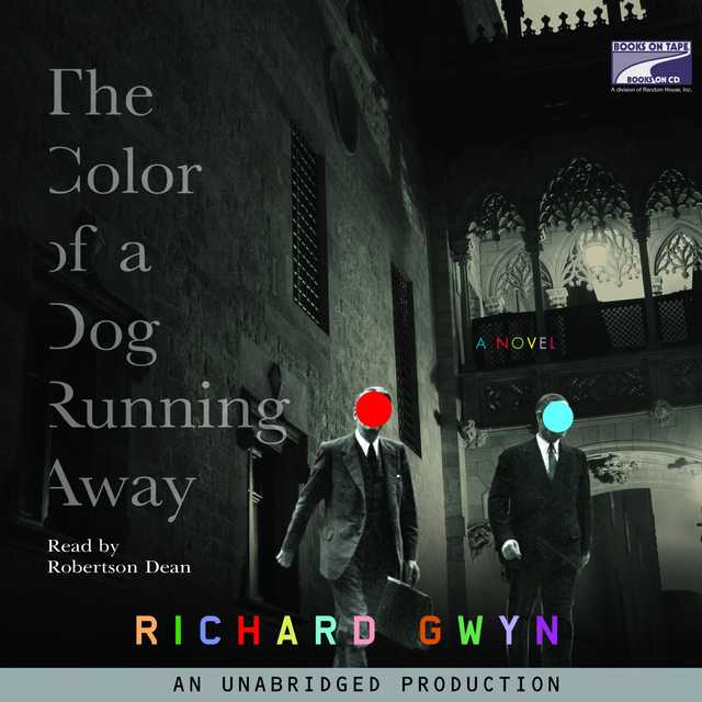 The Color of A Dog Running Away