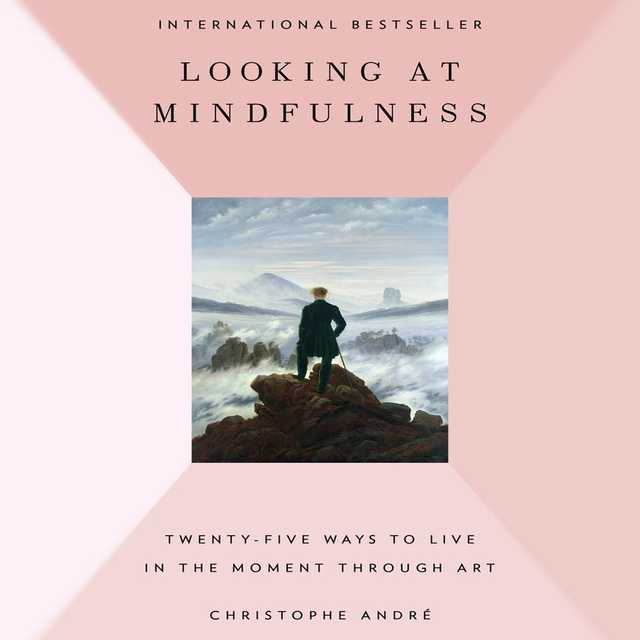 Looking at Mindfulness