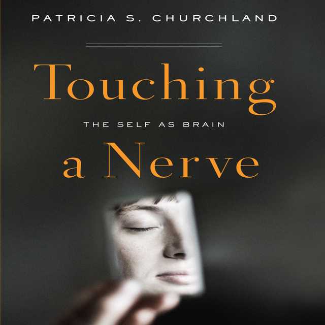Touching a Nerve