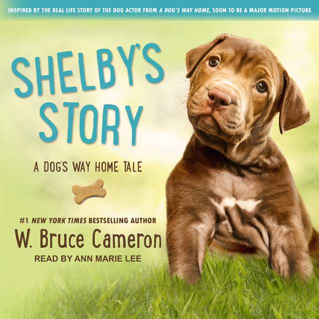 Shelby’s Story