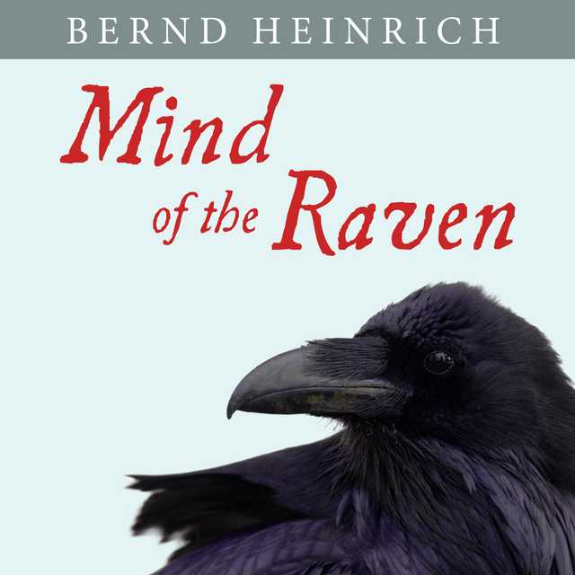 Mind of the Raven