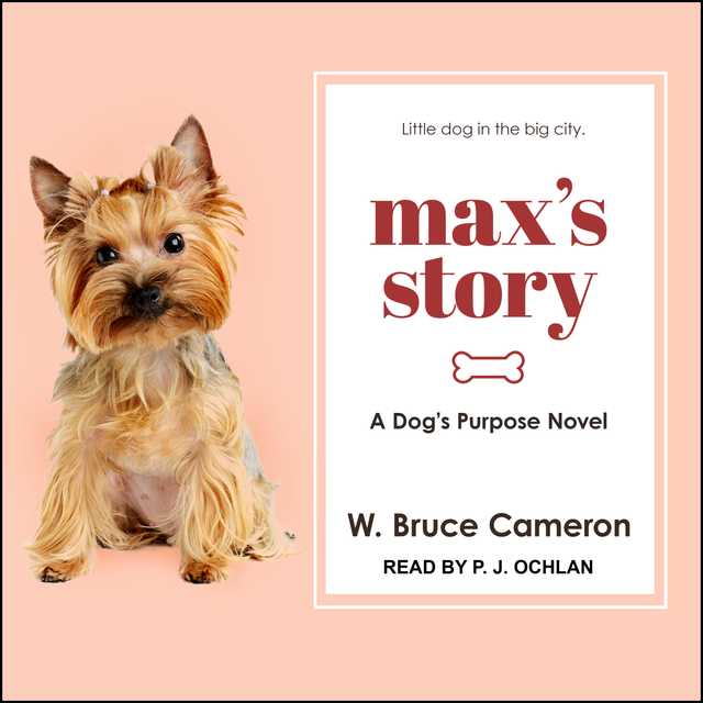 Max’s Story