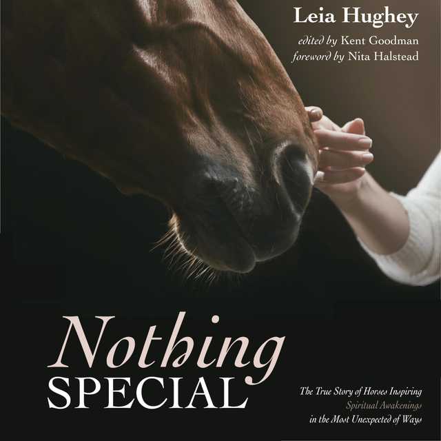 Nothing Special.  The True Story of Horses Inspiring Spiritual Awakening in the Most Unexpected of Ways