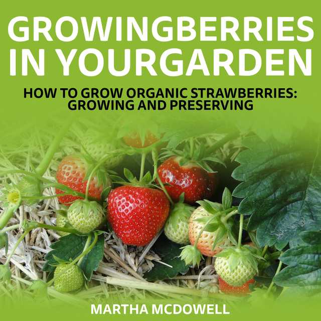 Growing Berries In Your Garden – How To Grow Organic Strawberries: Growing And Preserving