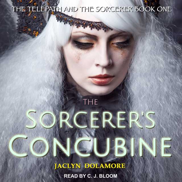 The Sorcerer’s Concubine