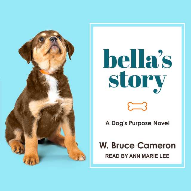 Bella’s Story
