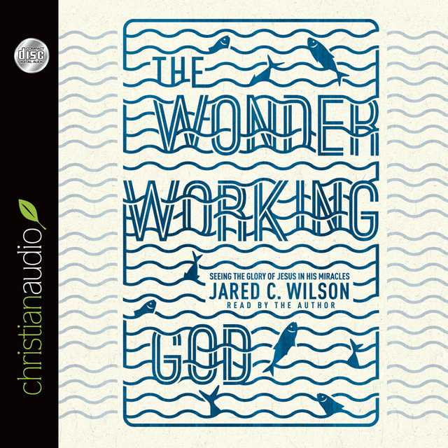 Wonder-Working God