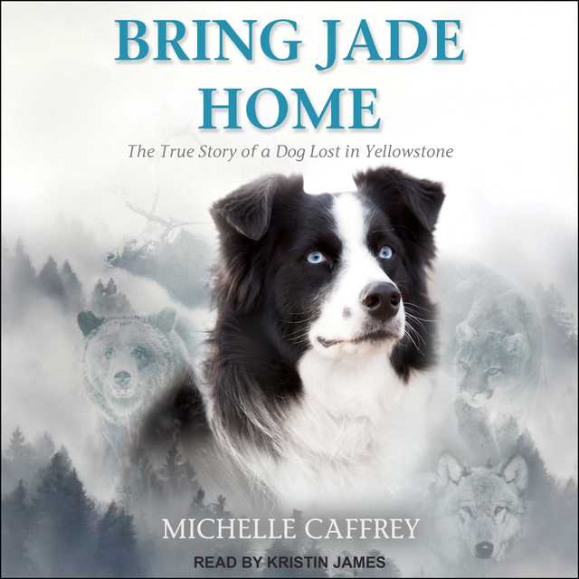 Bring Jade Home