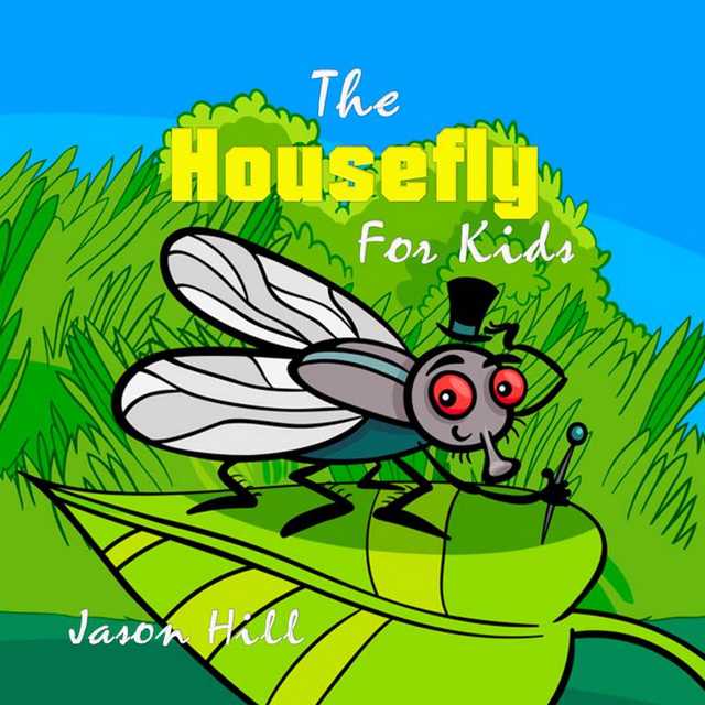 The Housefly for Kids