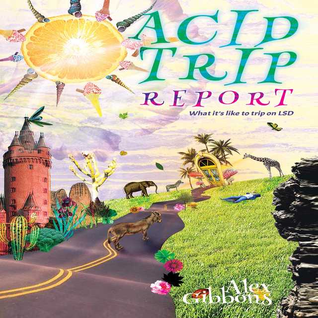 Acid Trip Report – What it’s like to trip on LSD