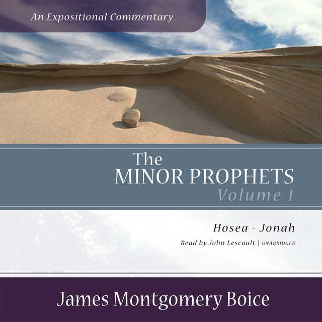 The Minor Prophets: An Expositional Commentary, Volume 1
