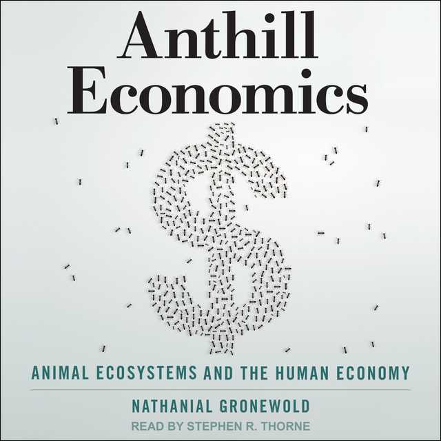 Anthill Economics