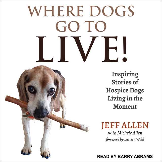 Where Dogs Go To LIVE!