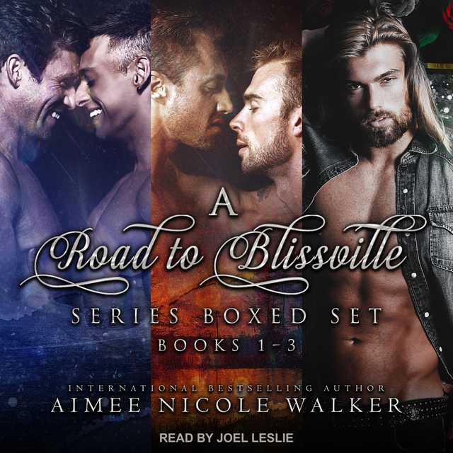 Road to Blissville Series Boxed Set