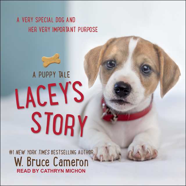 Lacey’s Story