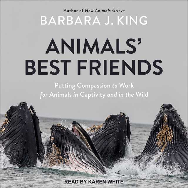 Animals’ Best Friends