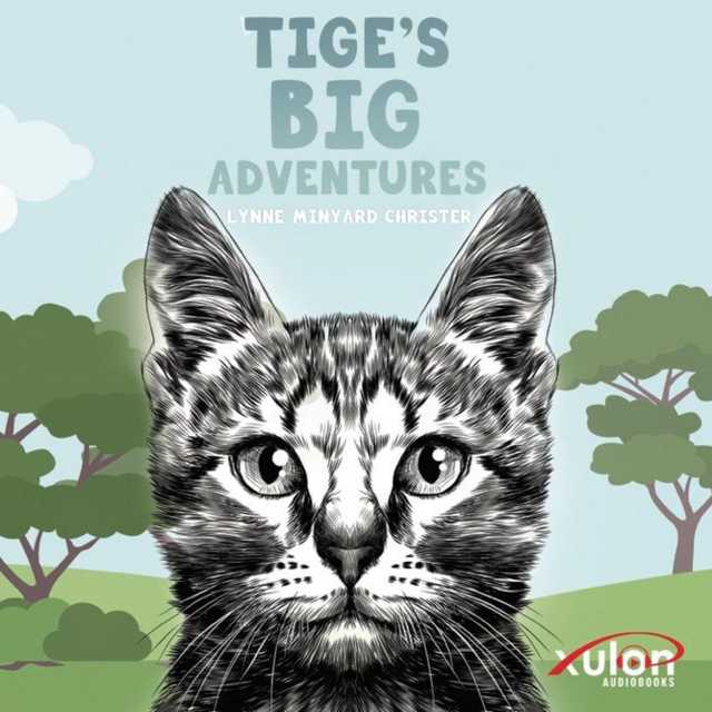Tige’s Big Adventures