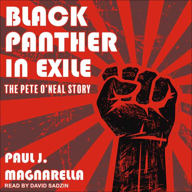 Black Panther in Exile