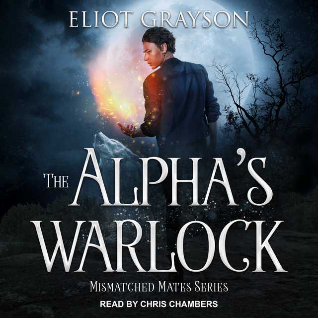 The Alpha’s Warlock