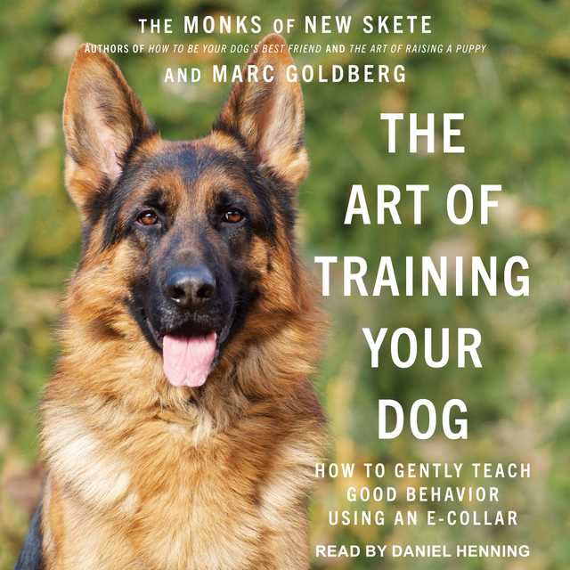 The Art of Training Your Dog