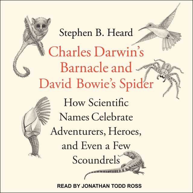 Charles Darwin’s Barnacle and David Bowie’s Spider