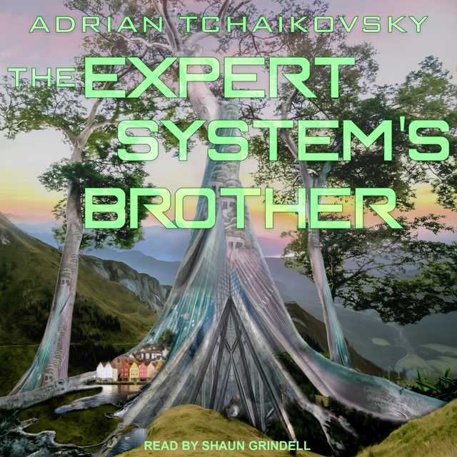 The Expert System’s Brother