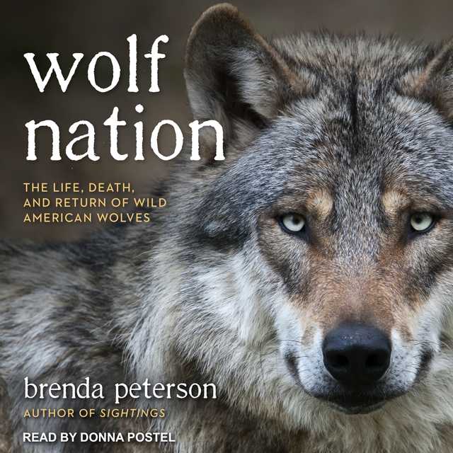 Wolf Nation