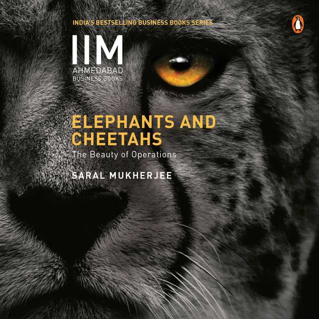 Elephants and Cheetahs: The Beauty of Operations