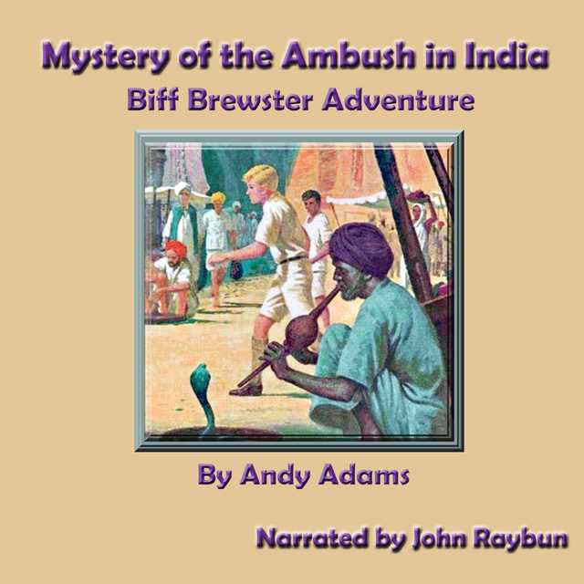 Mystery of the Ambush in India