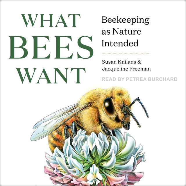 Best Beekeeper Studio Alternatives - 2023