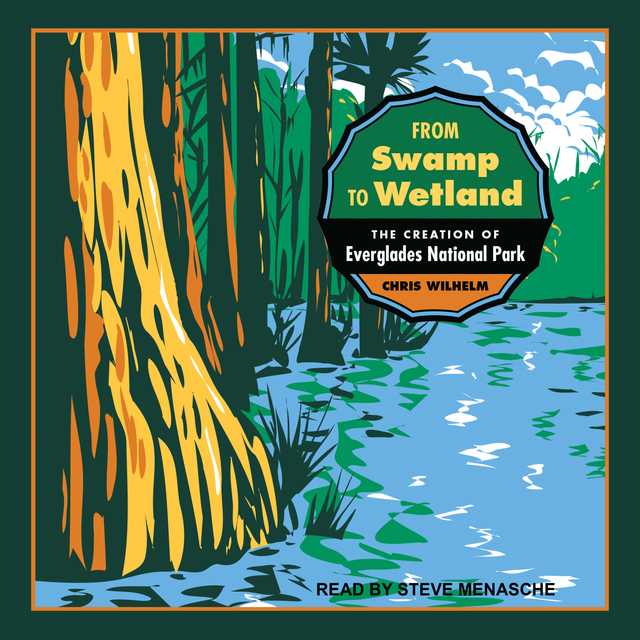 From Swamp to Wetland