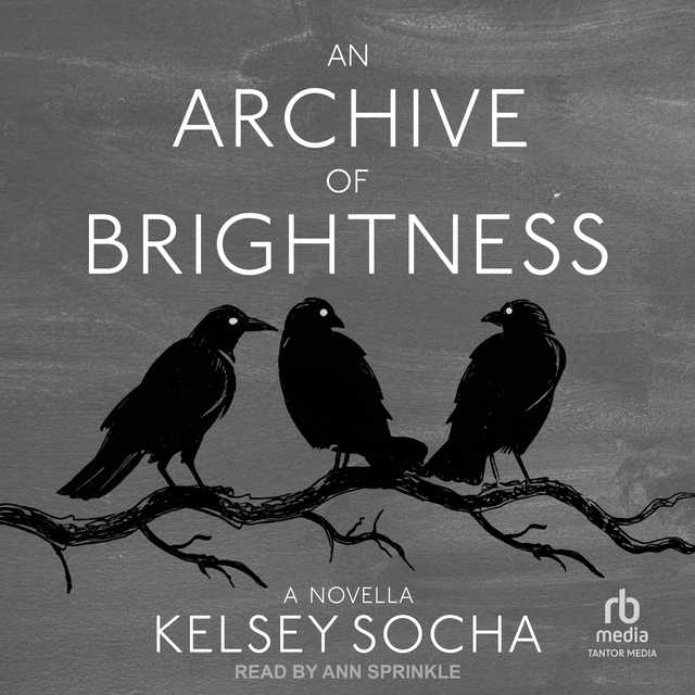 An Archive of Brightness