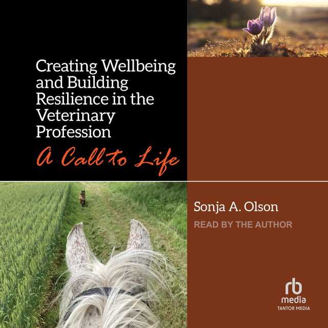 Creating Wellbeing and Building Resilience in the Veterinary Profession