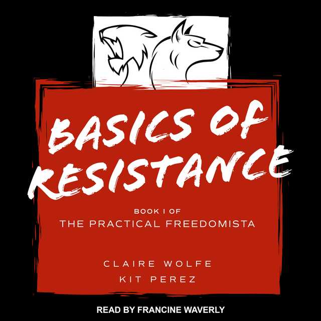 Basics of Resistance