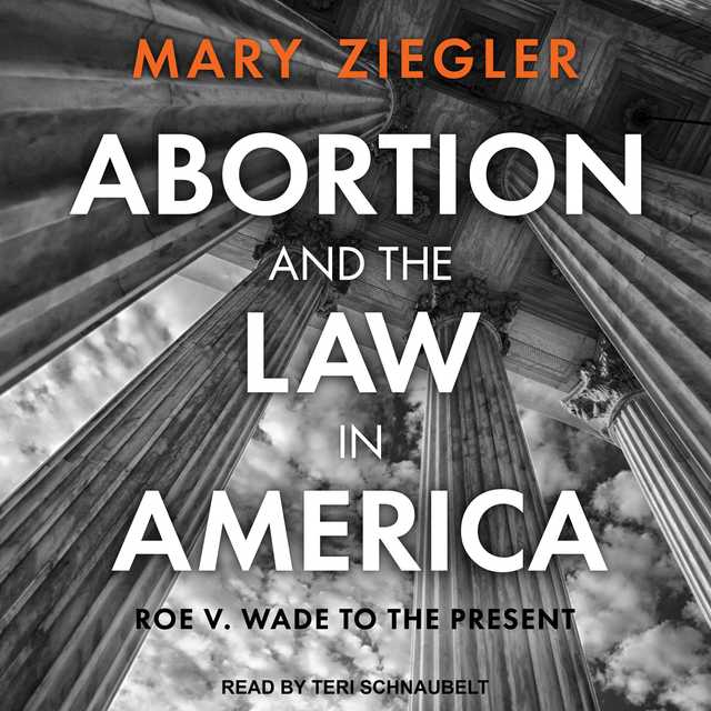 Abortion and the Law in America