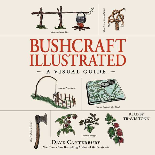 Bushcraft Illustrated