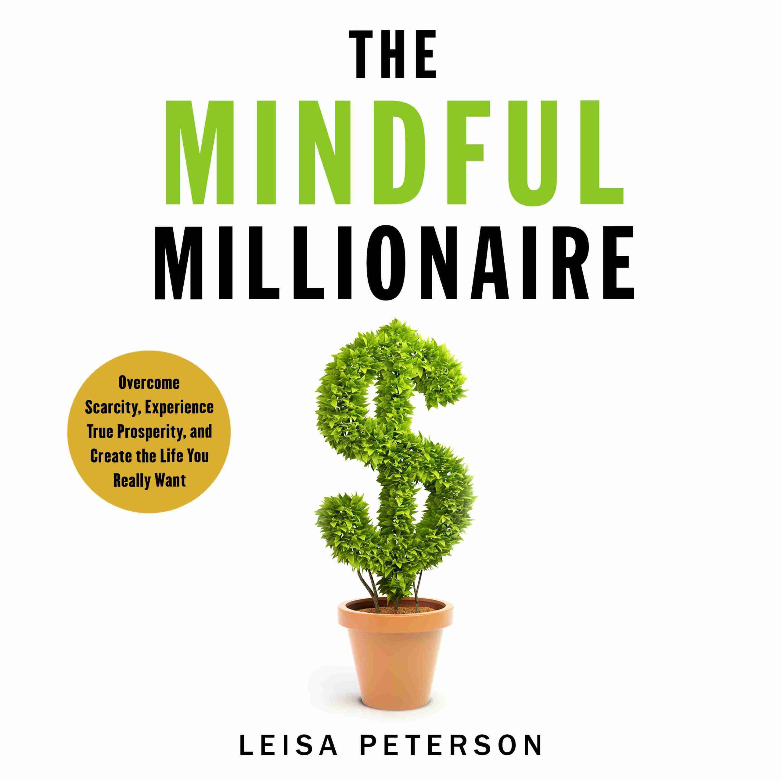 The Mindful Millionaire byLeisa Peterson Audiobook. 26.99 USD