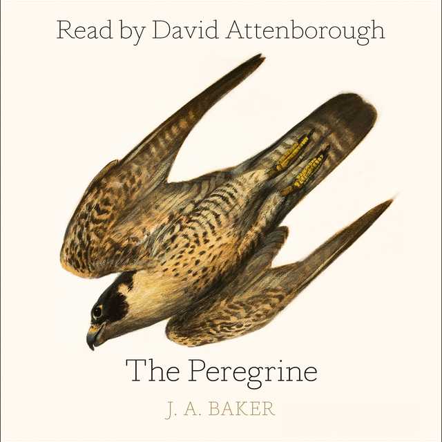 The Peregrine byJ. A. Baker Audiobook. 27.99 USD