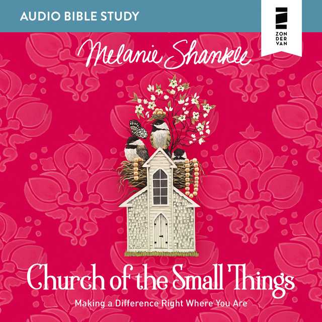 Church of the Small Things: Audio Bible Studies byMelanie Shankle Audiobook. 14.99 USD