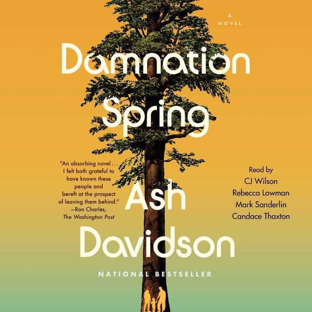 Damnation Spring byAsh Davidson Audiobook. 24.99 USD
