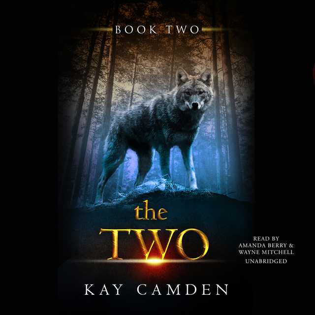 The Two byKay Camden Audiobook. 22.95 USD